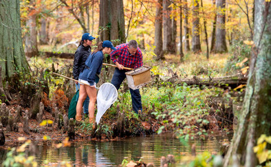 two students and a professor standing in a swamp looking inside a net